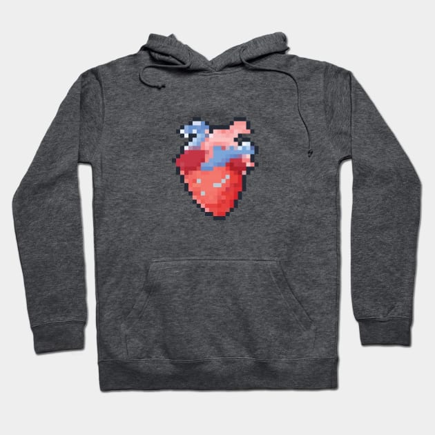 Anatomical Pixel Heart Hoodie by PixelSamuel